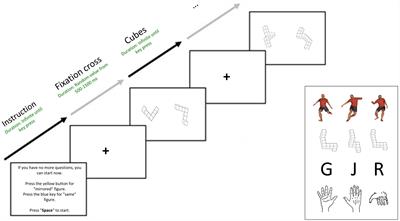 Mental rotation abilities of gymnasts and soccer players: a comparison of egocentric and object-based transformations. An exploratory and preliminary study